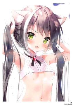 Page 17 of Okigae Nikki