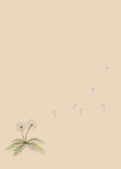 Page 47 of Tanetsuke Kojiin