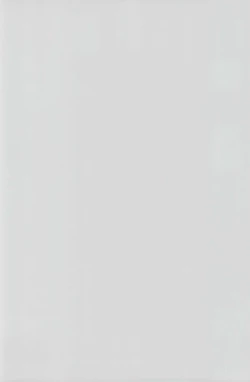 Page 3 of Ojamajo Sotsugyou Album