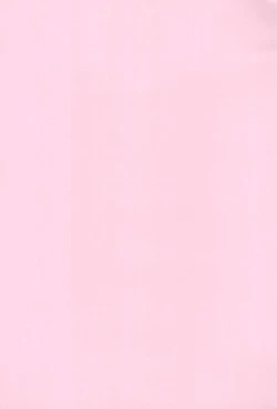 Page 25 of Chicchakute Ecchi Hon 8