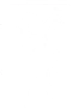 Page 2 of Hirameki Jikabaki