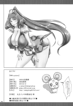 Page 13 of WM System