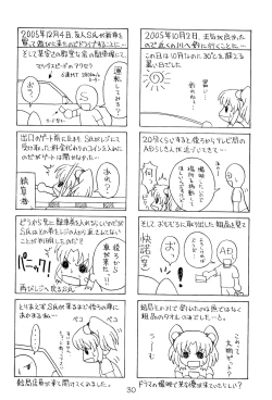 Page 29 of RURIMIX SP4