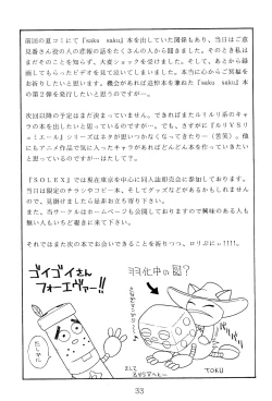 Page 32 of RURIMIX SP4