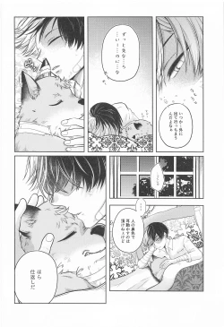 Page 47 of cuore mio