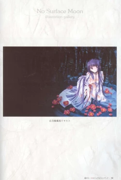 Page 100 of Kao no Nai Tsuki Visual Fanbook