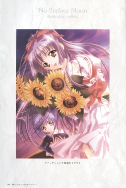 Page 105 of Kao no Nai Tsuki Visual Fanbook