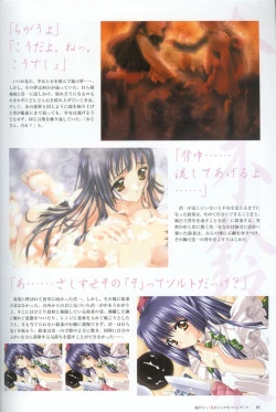 Page 20 of Kao no Nai Tsuki Visual Fanbook