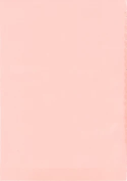 Page 251 of Koukan Jokyoushi Ryou