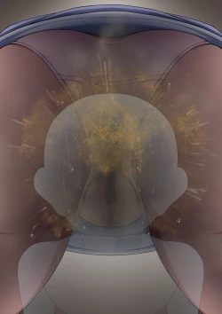 Page 462 of Onee-chan wa itsumo boku ni onara o Kagasete Kureru