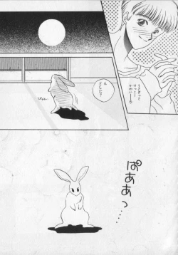 Page 33 of Kemono Land