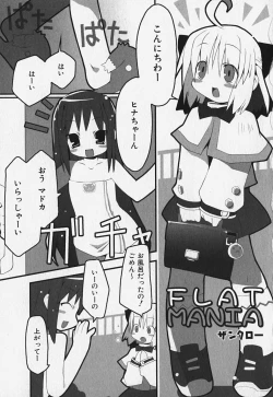 Page 77 of FLAT STYLE