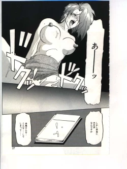 Page 29 of Shakunetsu no Honoo