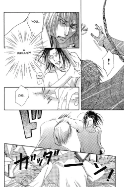 Page 17 of The Garden of Rosa-Sinensis