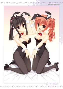 Page 11 of SABBAT OF THE WITCH OFFICIAL VISUAL FAN BOOK