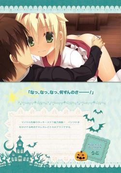 Page 232 of SABBAT OF THE WITCH OFFICIAL VISUAL FAN BOOK