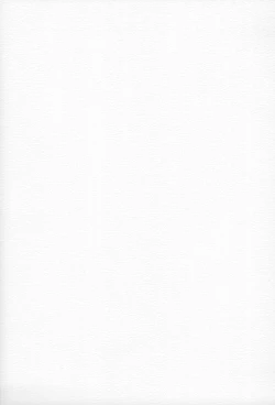 Page 31 of Memphi.Bell