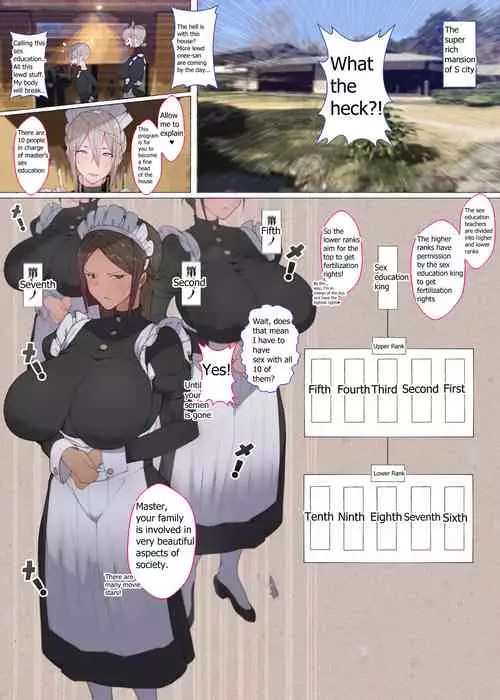 Download What The Heck!