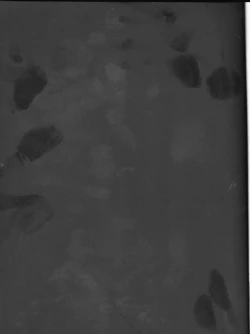 Page 28 of endless(Collar x Malice]