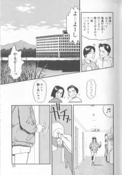 Page 28 of Enshou Iro Moyou Nishiki no Emakura