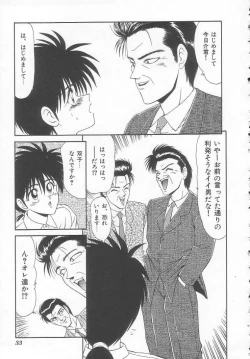 Page 33 of Shiritsu Fujisawa Gakuen