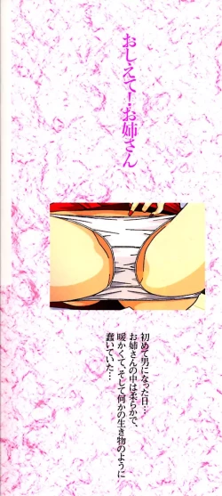 Page 4 of Oshiete! Oneesan