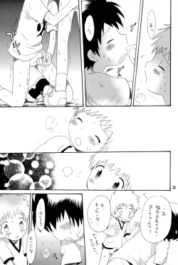 Page 34 of Brother Blue Berry