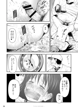 Page 37 of Geiger counter Kanzenban