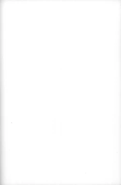 Page 2 of Ashi Damashii