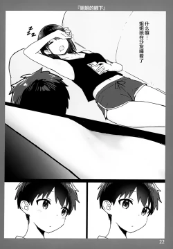 Page 22 of Onee-chan to Torokeru Kimochi 3