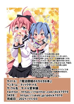 Page 24 of 魔法闘姫のえちえちな本