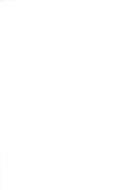 Page 31 of Osoto de Training