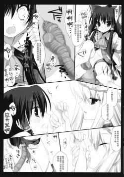 Page 5 of HIDOIME II