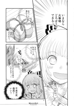 Page 13 of Marecollect