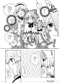 Page 26 of Marecollect