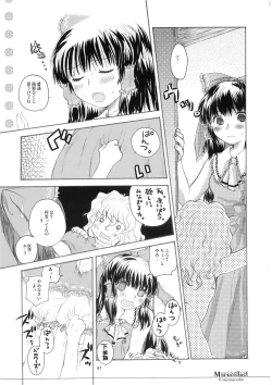 Page 41 of Marecollect