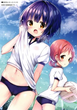 Page 11 of K.C.K.W.G.S 12