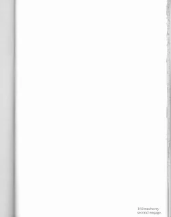 Page 40 of 16Strawberry