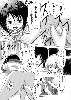 Page 14 of Sachina no Koukou Nikki 2