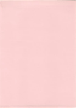 Page 4 of Labyrinth-buster