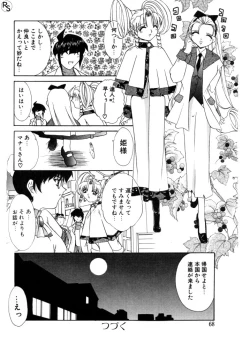 Page 68 of Princess & Lady