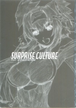 Page 2 of SURPRISE CULTURE