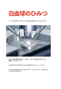 Page 4 of Hakkekkyuu no Himitsu