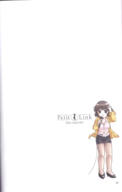 Page 26 of Petit Link 3