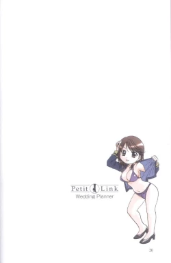 Page 16 of Petit Link 4