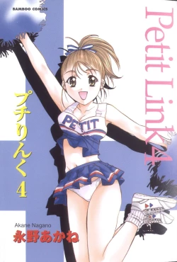 Page 3 of Petit Link 4