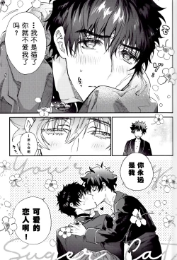 Page 19 of Sugar cat|小甜猫