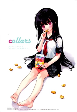 Page 4 of Aniki and I and an illustration summary book + Omake