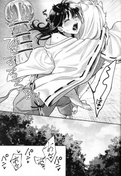 Page 38 of Sengoku Makurazoushi Inu Kago Abunae Hen| 战国枕草子犬薇 危绘篇（犬夜叉）