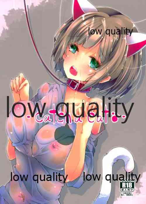 Download catch a cat